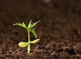 土壤監(jiān)測(cè)，土壤污染程度，深圳檢測(cè)機(jī)構(gòu)