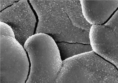金屬材質(zhì)成分及失效分析