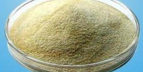 海藻酸鈉檢測(cè)