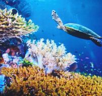 海洋生態(tài)檢測服務、環(huán)保檢測、各項微生物有害物質指標檢測